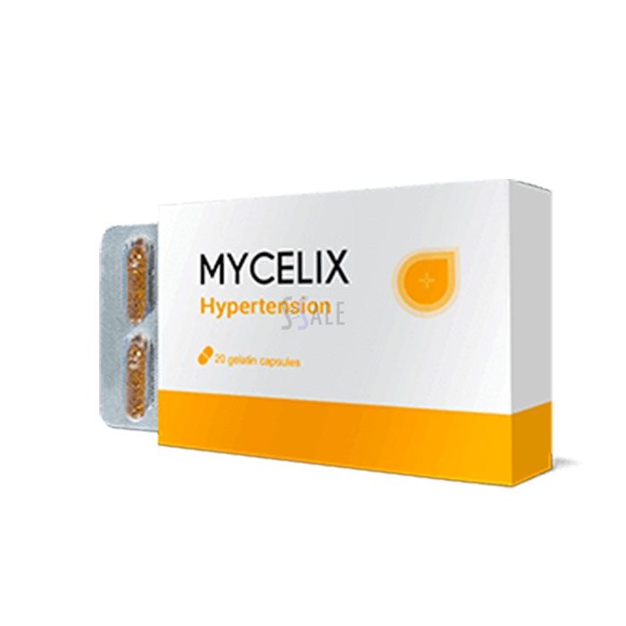 Mycelix - remedy for hypertension in Jena